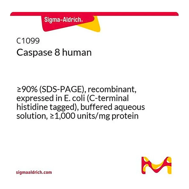 Merck Caspase 8 human