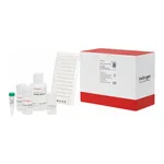 Thermo Fisher Scientific mRNA Catcher PLUS Purification Kit, 96 Preps
