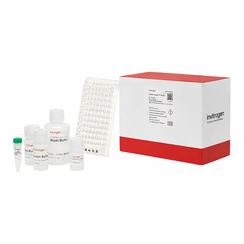Thermo Fisher Scientific mRNA Catcher PLUS Purification Kit, 96 Preps