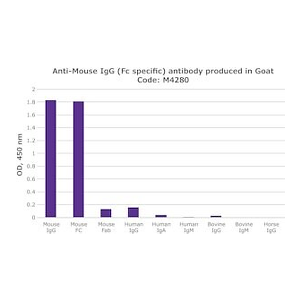 Merck GOAT ANTI-MOUSE IGG (FC SPECIFIC)      &