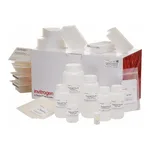 Thermo Fisher Scientific PureLink Pro Quick96 Plasmid Purification Kit, 4 x 96 Preps