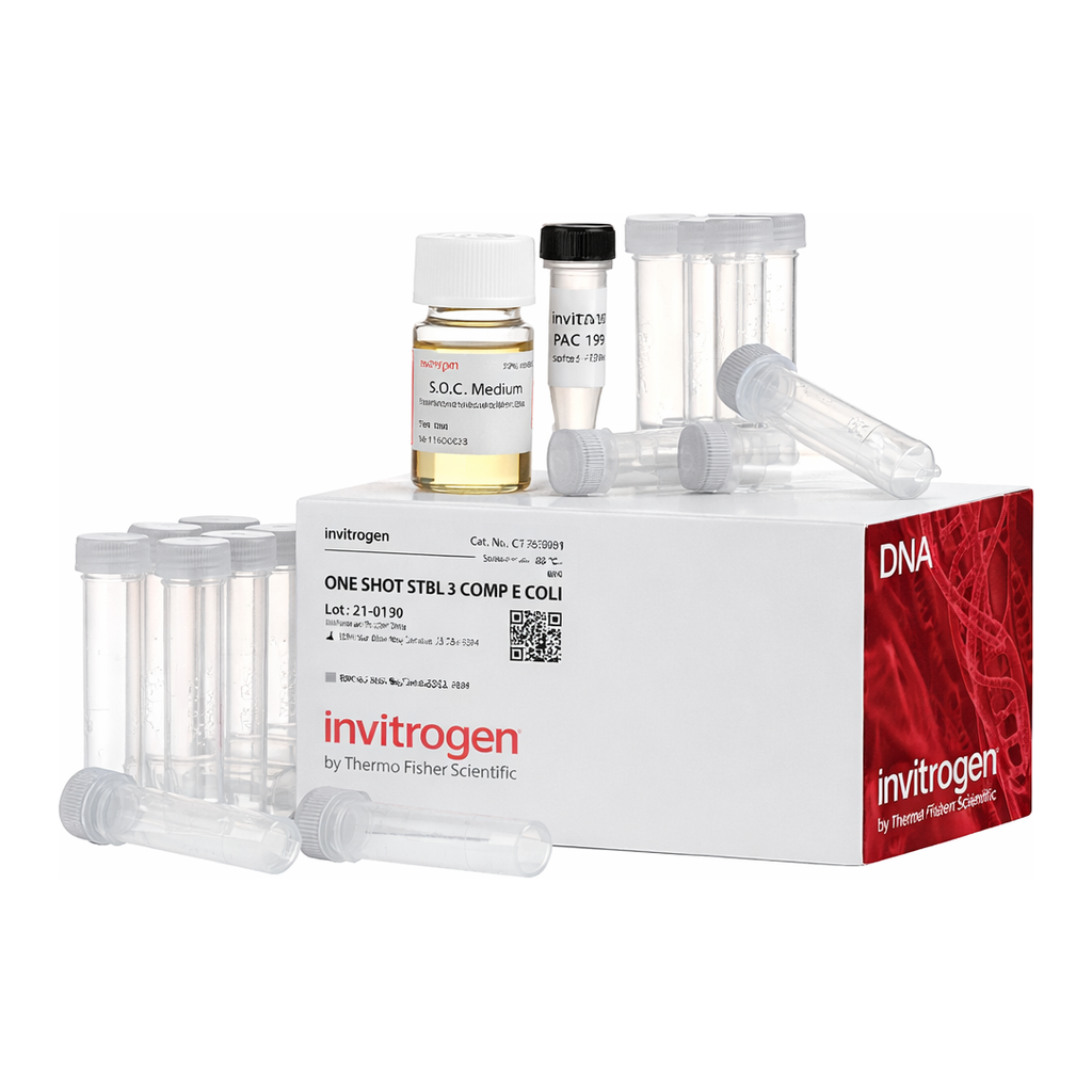 Thermo Fisher Scientific One Shot Stbl3 Chemically Competent E. coli