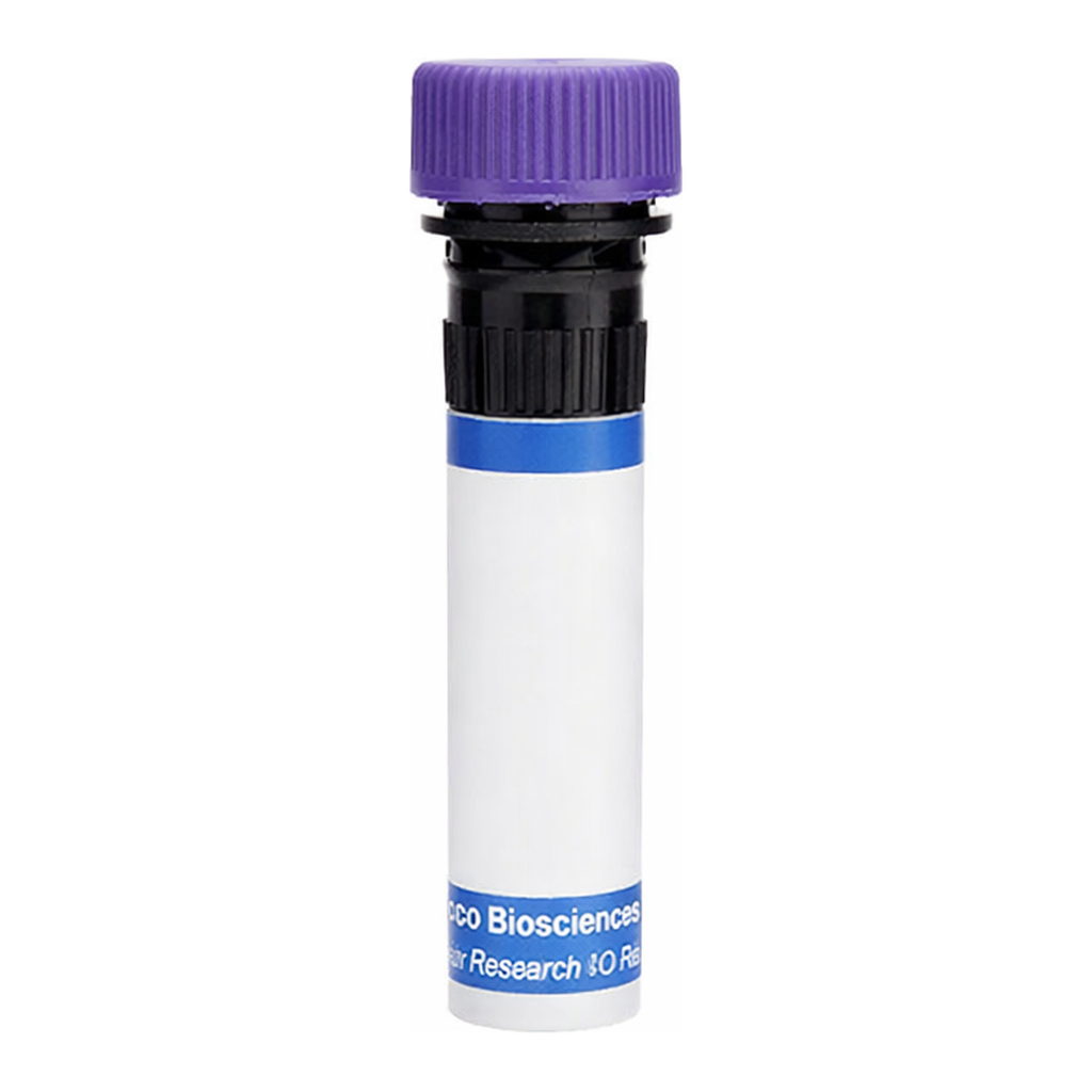 BD RB744 Biosimilar Anti-Human CD52