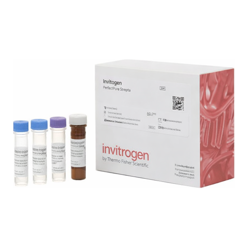 Thermo Fisher Scientific HSP90 Human ProcartaPlex Simplex Kit