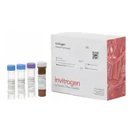 Thermo Fisher Scientific HSP90 Human ProcartaPlex Simplex Kit