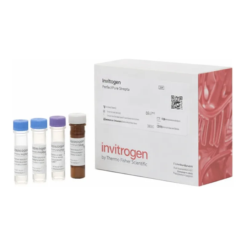 Thermo Fisher Scientific HSP90 Human ProcartaPlex Simplex Kit