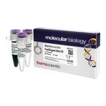 Thermo Fisher Scientific FastDigest Bsu15I, 50 μL (50 Reactions)