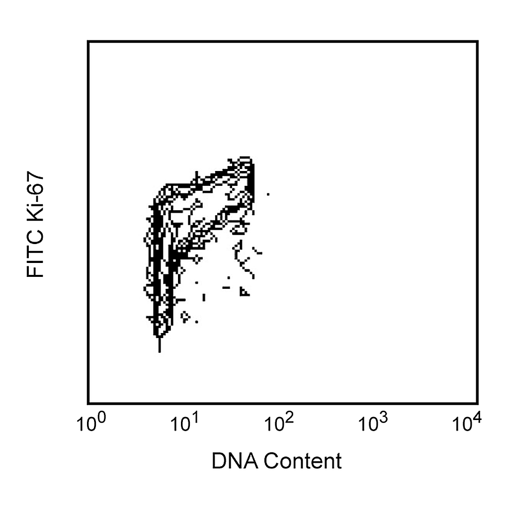 BD FITC Mouse Anti-Ki-67 Set