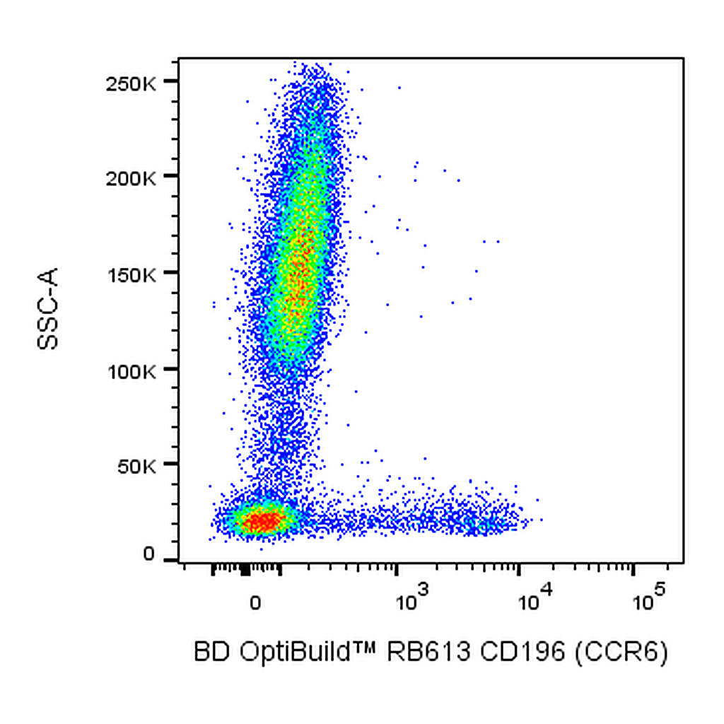BD RB613 Mouse Anti-Human CD196 (CCR6)