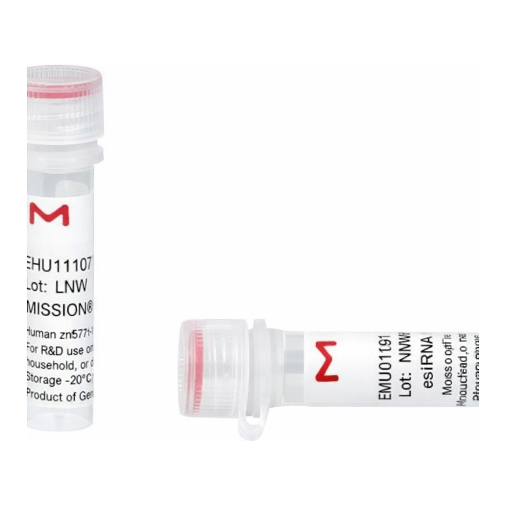 Merck MISSION(R) esiRNA