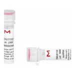 Merck MISSION(R) esiRNA