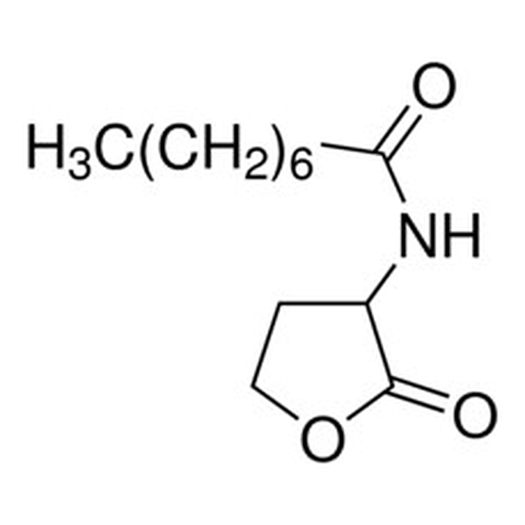 Merck N-OCTANOYL-DL-HOMOSERINE LACTONE >= 97.&