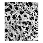 Thermo Fisher Scientific Durapore Membrane Filters, 0.22 μm