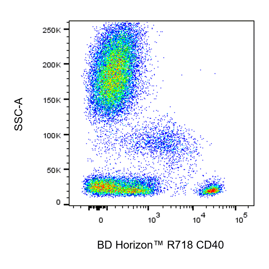 BD R718 Mouse Anti-Human CD40