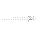 Merck C24 CERAMIDE-1-PHOSPHATE (D18:1/24:0)