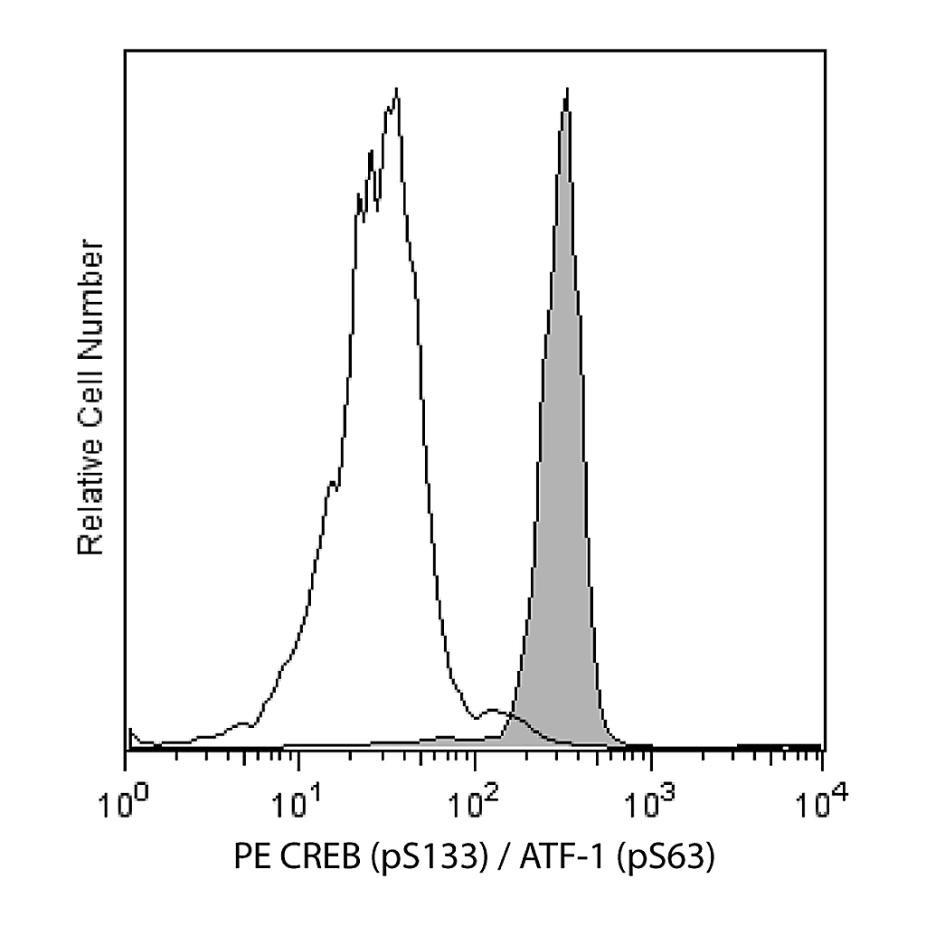 BD PE Mouse Anti-CREB (pS133) / ATF-1 (pS63)
