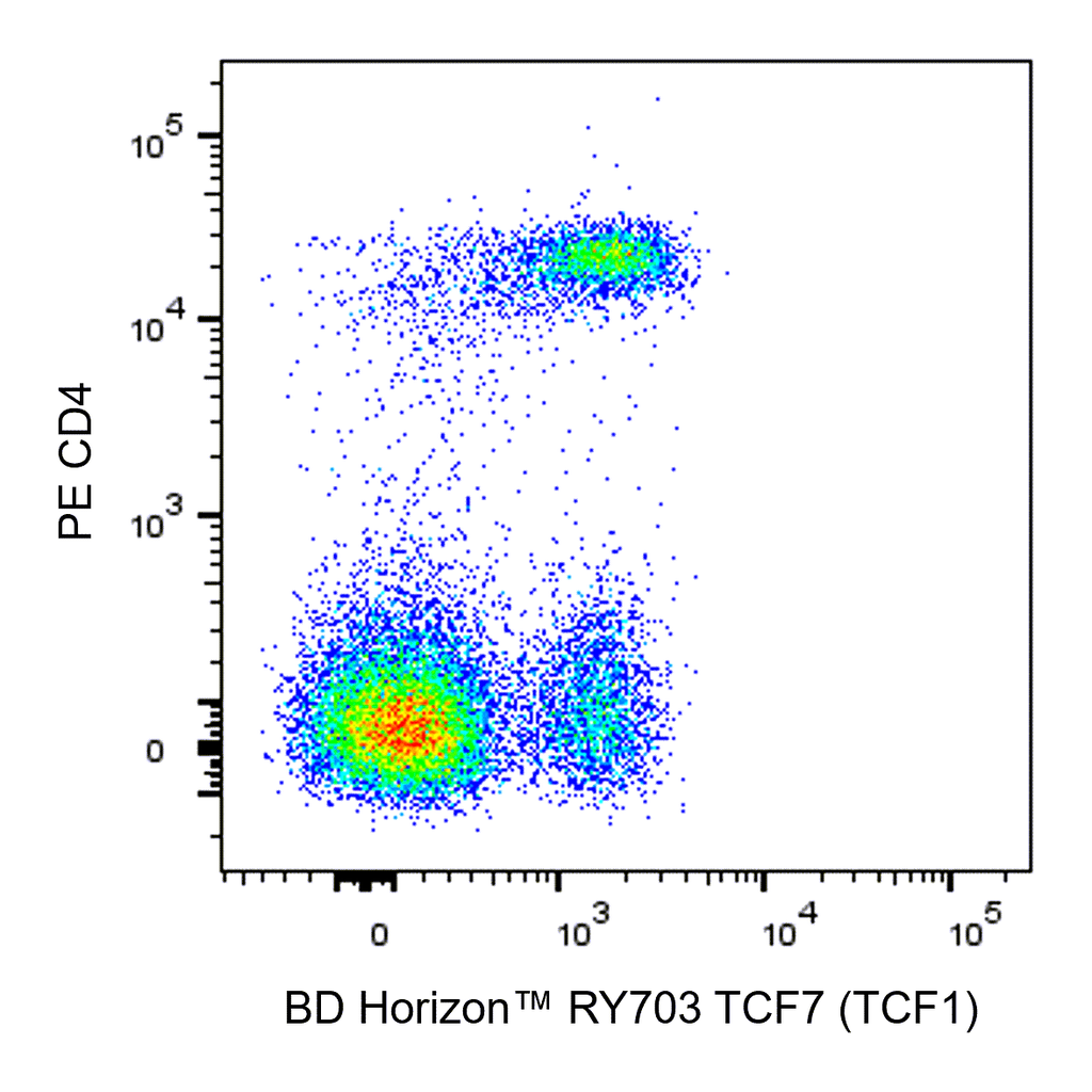 BD RY703 Mouse Anti-TCF7 (TCF1)