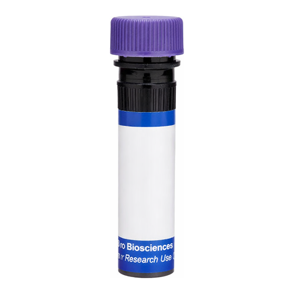 BD RB744 Rat Anti-Mouse Delta-Like Protein 4