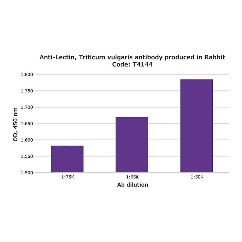 Merck Anti-Lectin, Triticum vulgaris antibody produced in rabbit