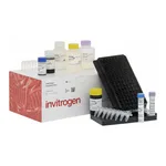Thermo Fisher Scientific ProcartaPlex Human Apolipoprotein Panel, 5plex