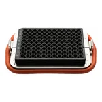 Thermo Fisher Scientific Hand-Held Magnetic Plate Washer