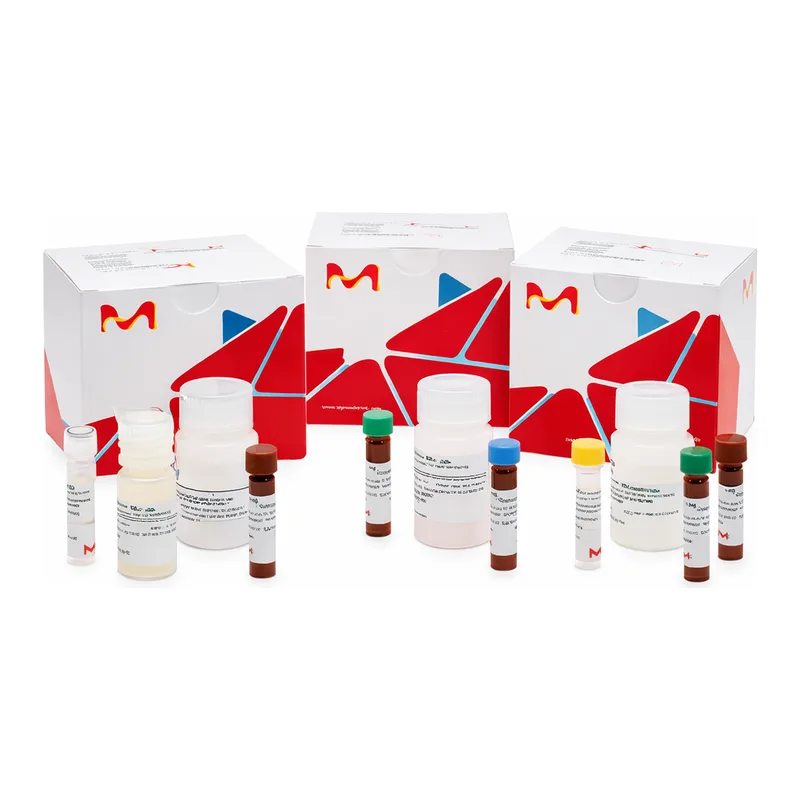 Merck BUTYRYLCHOLINESTERASE (BCHE) ACTIVITY AS