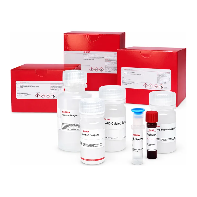 Merck CATHEPSIN K INHIBITOR SCREENING KIT