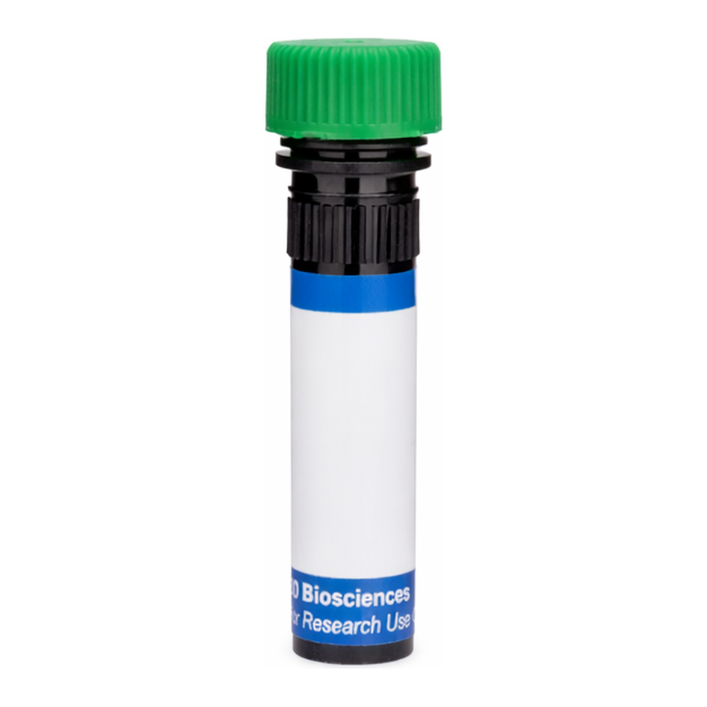 BD RB545 Mouse Anti-Human P-glycoprotein (CD243)