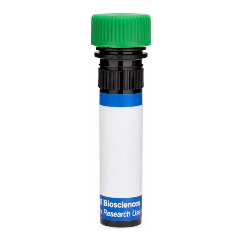 BD RB545 Mouse Anti-Human P-glycoprotein (CD243)