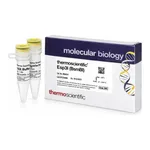 Thermo Fisher Scientific Esp3I (BsmBI) (10 U/μL), 200 units