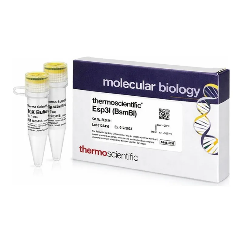 Thermo Fisher Scientific Esp3I (BsmBI) (10 U/μL), 200 units