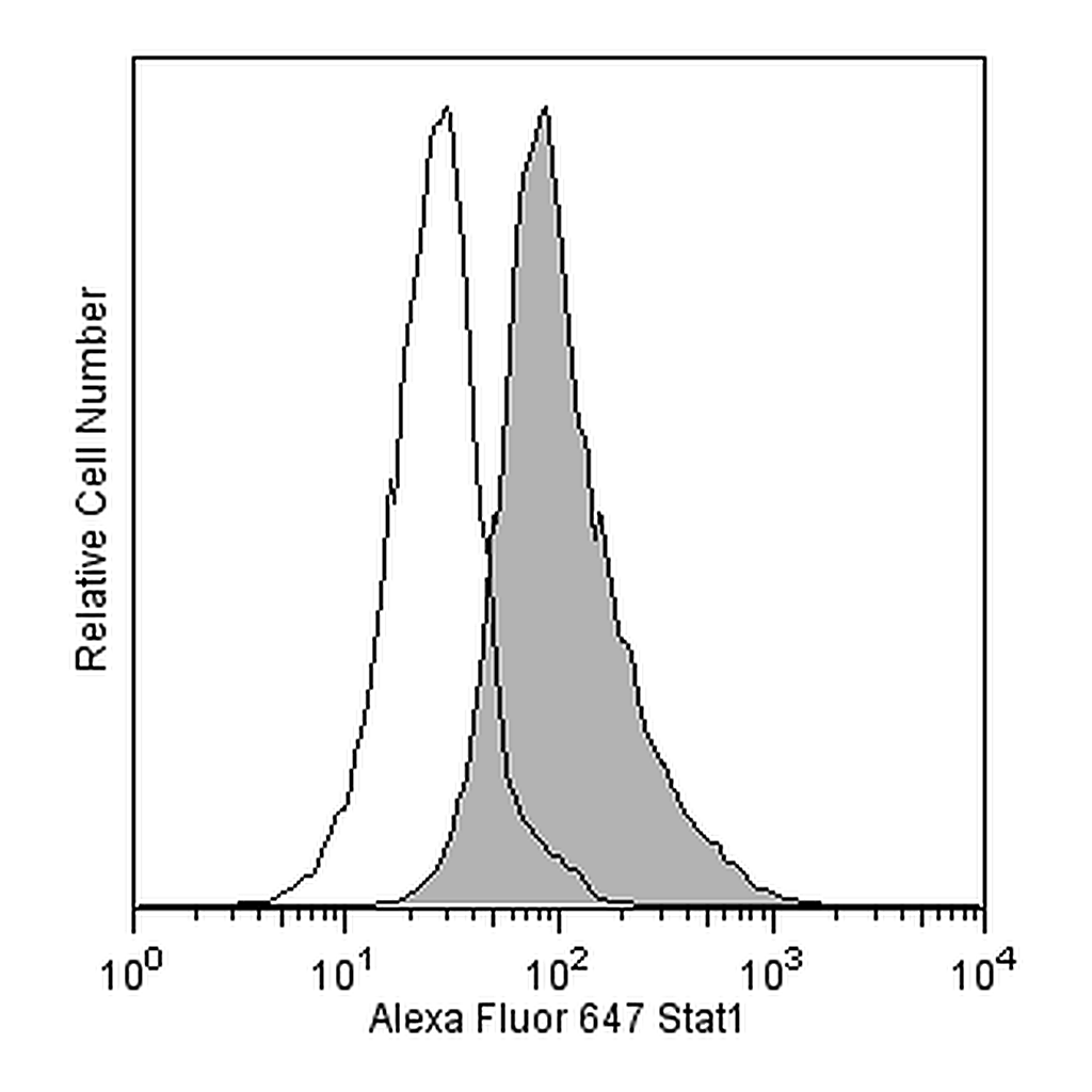 BD Alexa Fluor® 647 Mouse anti-Total Stat1 (N-Terminus)