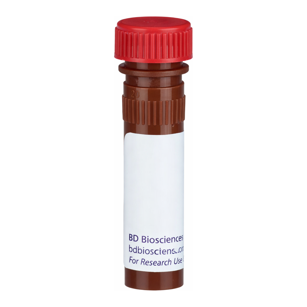 BD Functional Bead B5