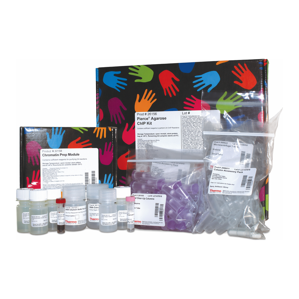 Thermo Fisher Scientific Pierce Agarose ChIP Kit