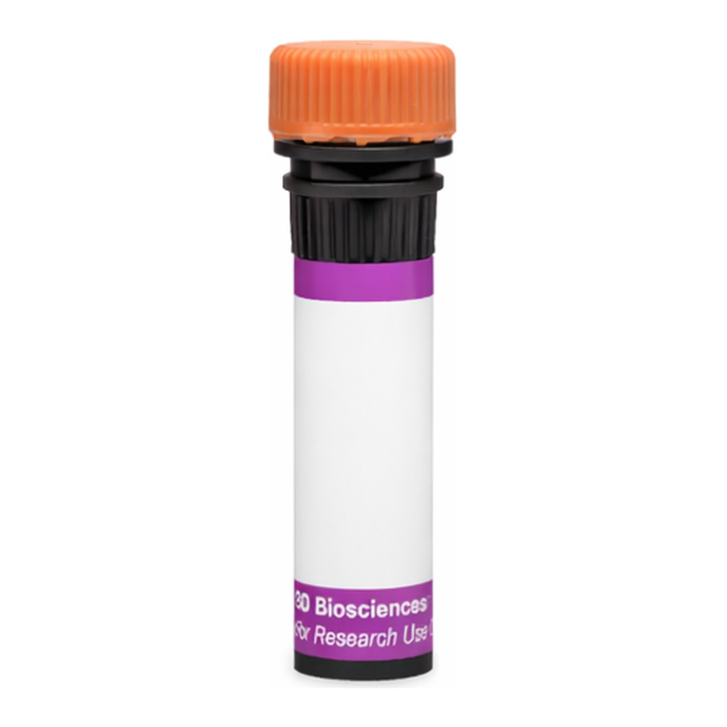BD BV605 Mouse Anti-Mouse Vβ 12 T-Cell Receptor