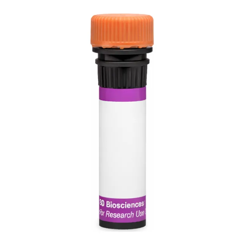 BD BV605 Mouse Anti-Mouse Vβ 12 T-Cell Receptor