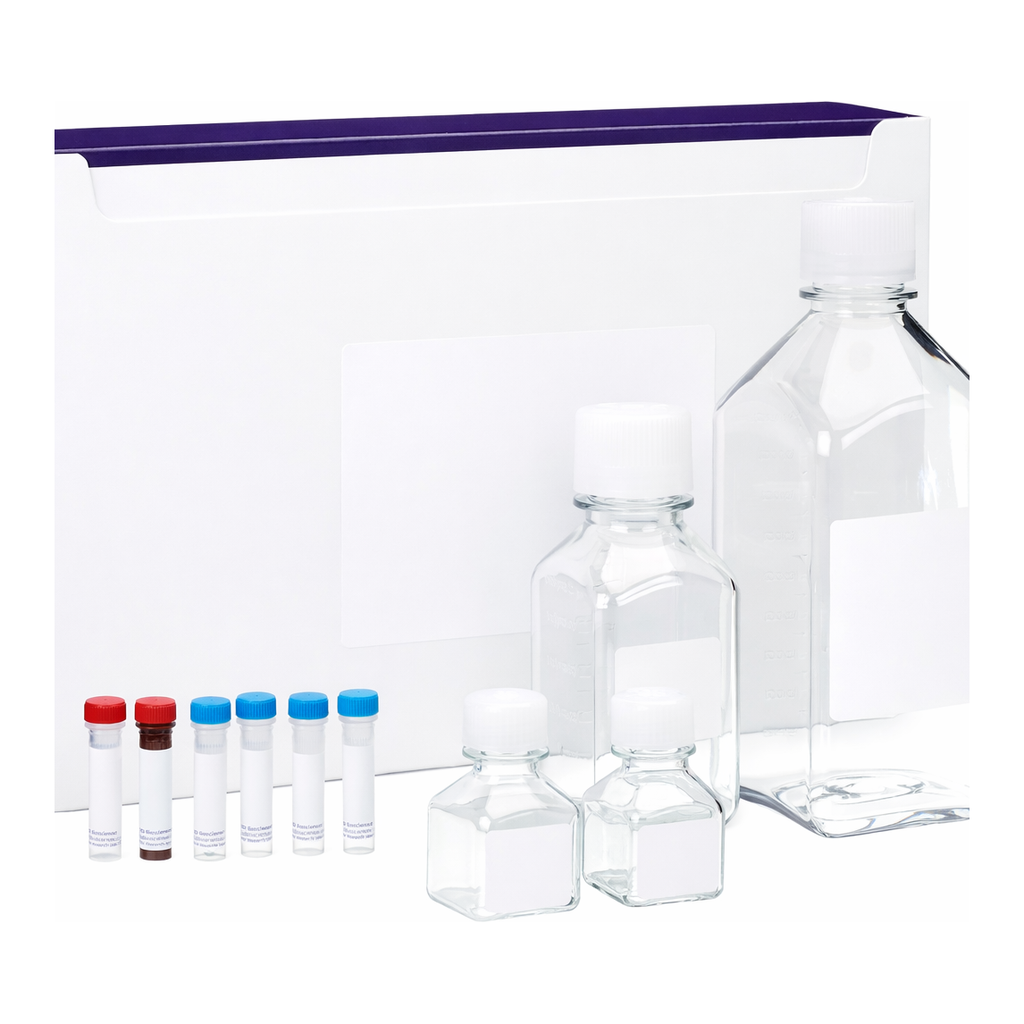 BD Mouse/Rat Soluble Protein Master Buffer Kit