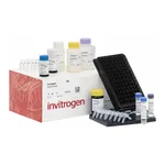 Thermo Fisher Scientific ProcartaPlex Mouse Essential Th1/Th2 Cytokine Panel 2, 8plex