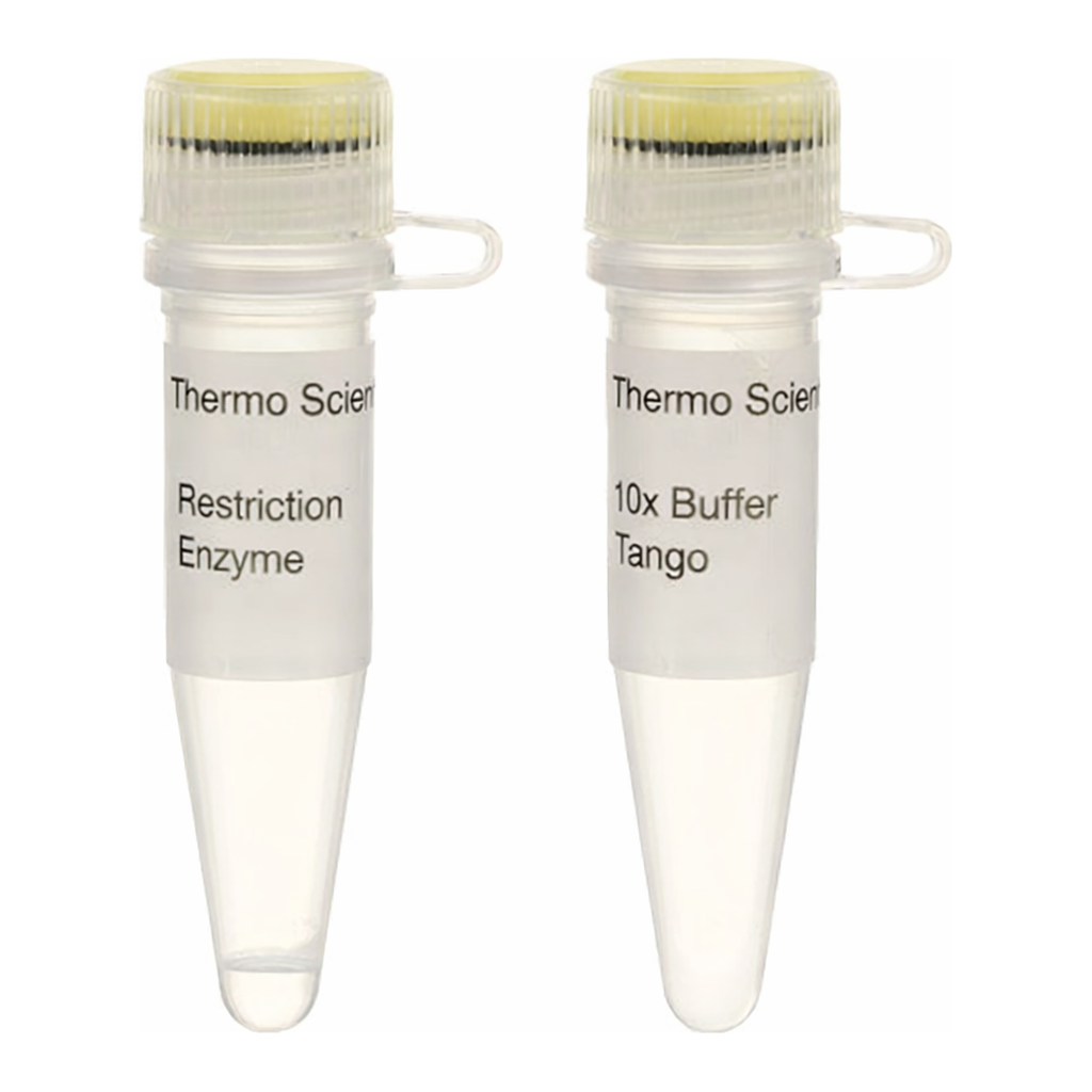 Thermo Fisher Scientific Hin6I (HinP1I) (10 U/&mu;L)