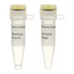Thermo Fisher Scientific Hin6I (HinP1I) (10 U/μL)