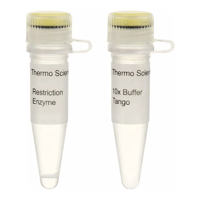 Thermo Fisher Scientific Hin6I (HinP1I) (10 U/μL)