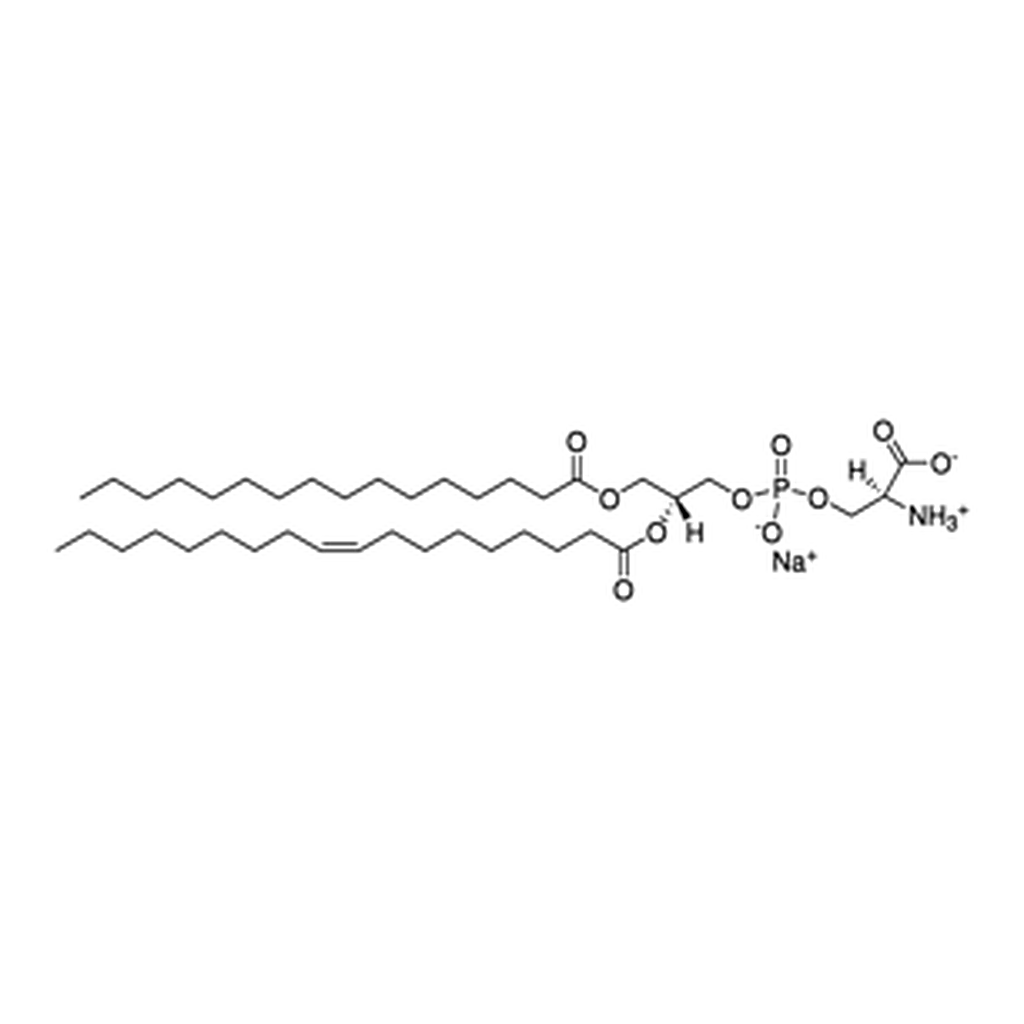 Merck 16:0-18:1 PS (POPS)