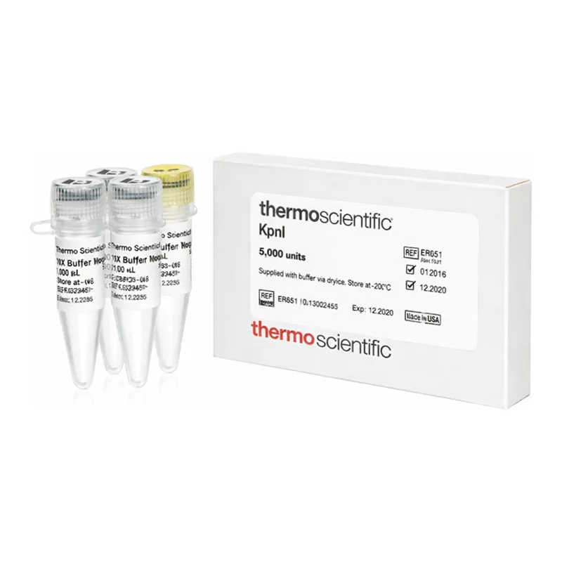 Thermo Fisher Scientific KpnI (10 U/μL), 4,000 units