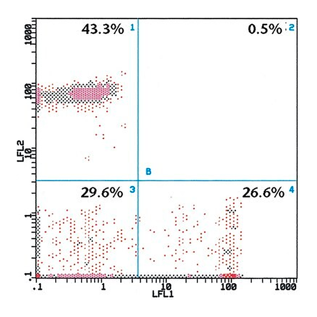 Merck Monoclonal Anti-CD8-FITC antibody produced in mouse