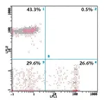 Merck Monoclonal Anti-CD8-FITC antibody produced in mouse