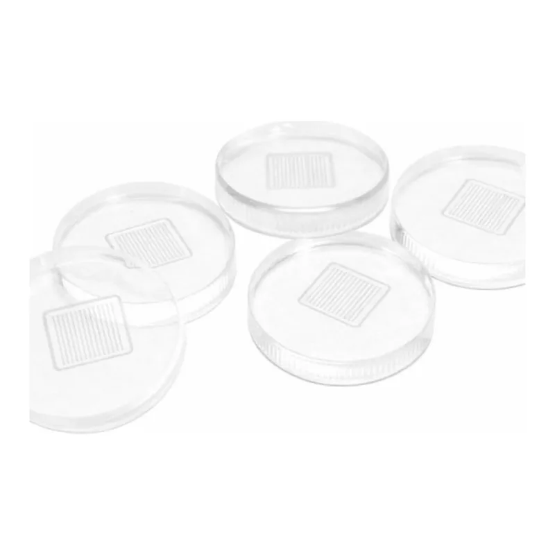 Merck Microneedle template