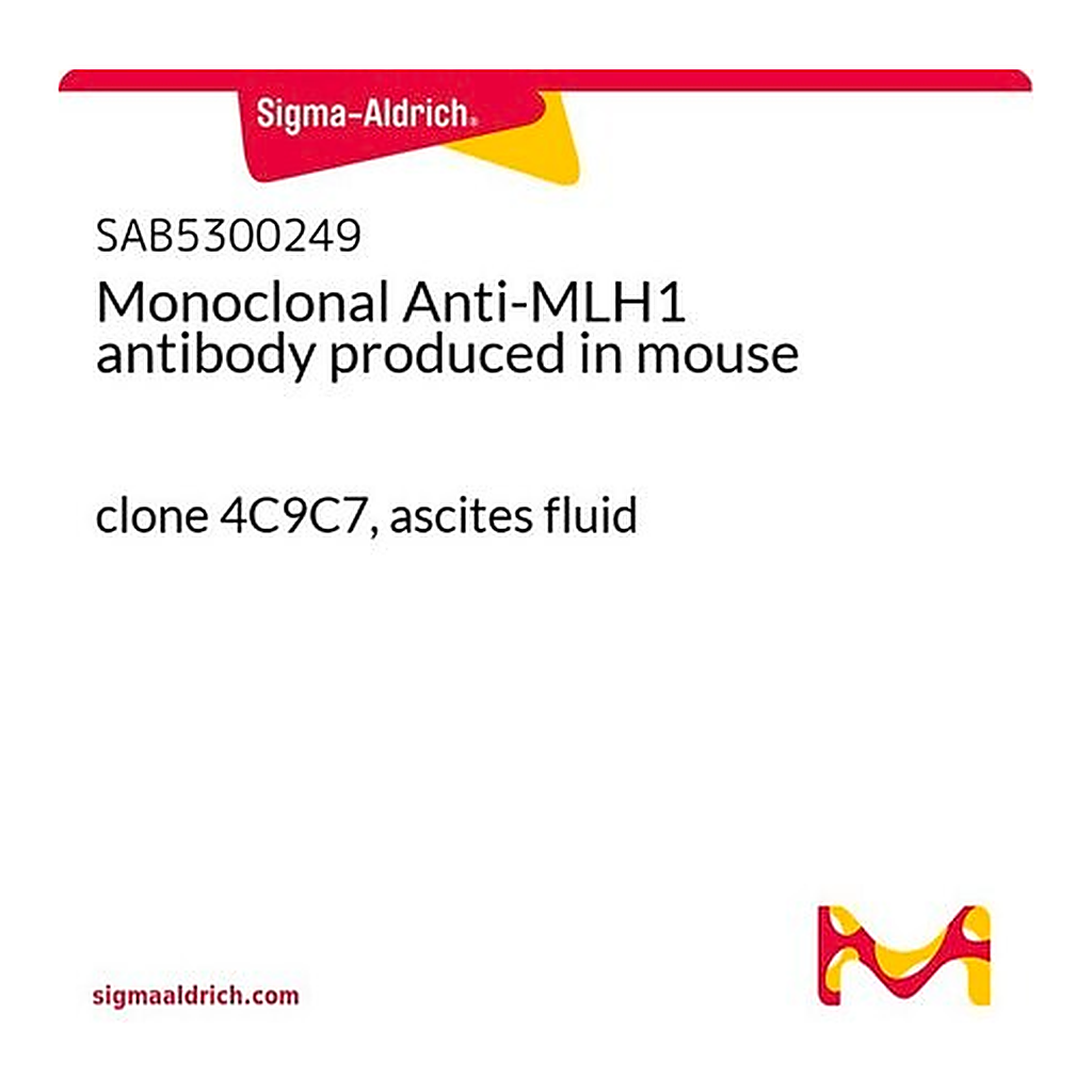 Merck Monoclonal Anti-MLH1 antibody produced in mouse