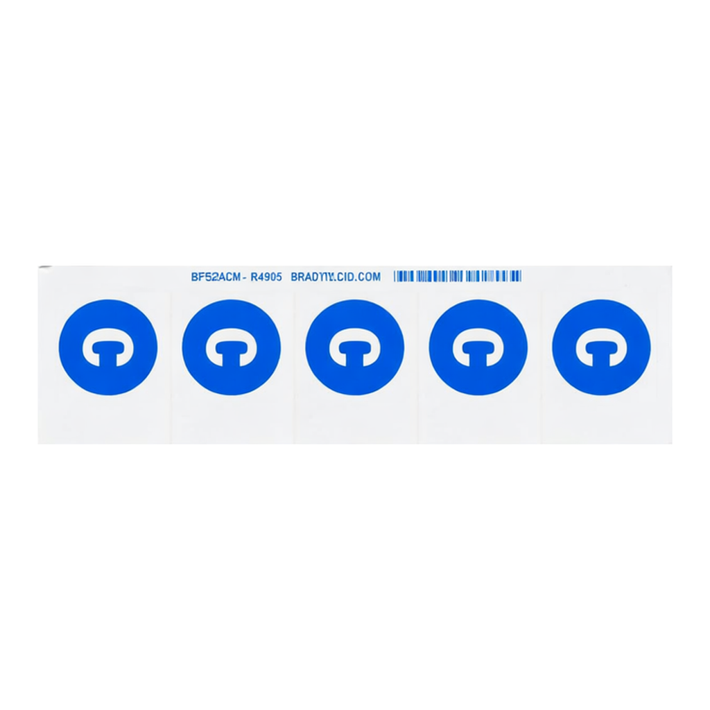 Brady C Labels