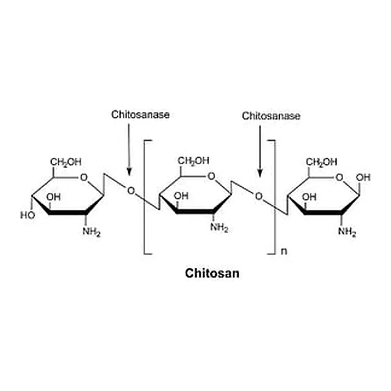 Merck CHITOSANASE