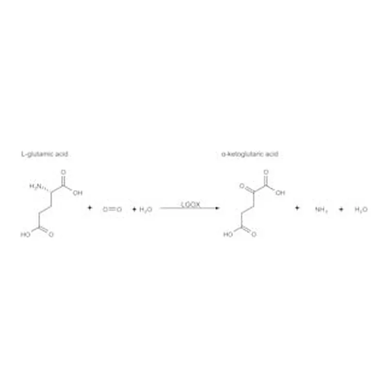 Merck L-GLUTAMATE OXIDASE FROM STREPTOMYCES&